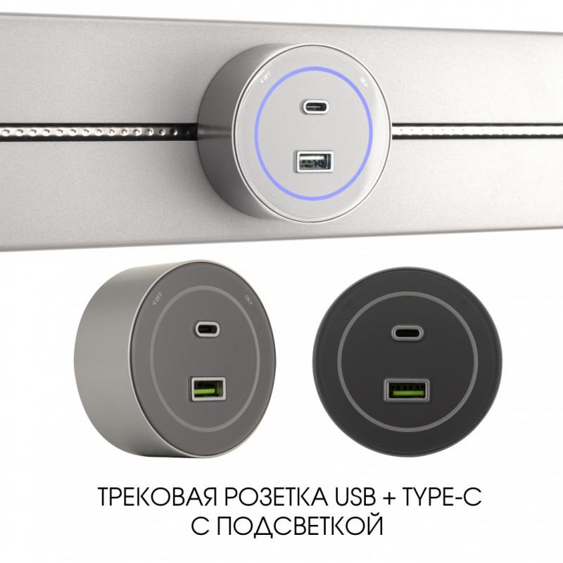 Трековая розетка Arte Milano Am-track-sockets-39 399732TS/USB-Type-C Silver