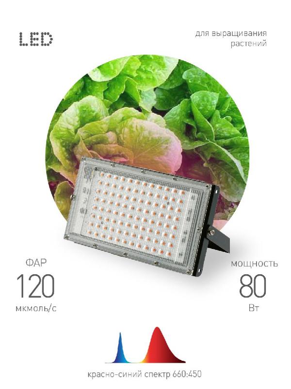 Фитопрожектор для растений Эра FITO-80W-RB-LED-Y Б0053082