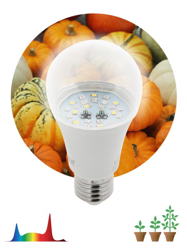 Фитолампа для растений Эра FITO-11W-Ra90-E27 Б0050603